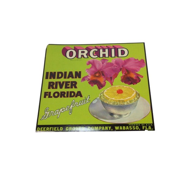 Orchid Indian River Florida Grapefruit Fruit Crate Label Vintage Deerfield 66621 - Picture 1 of 3